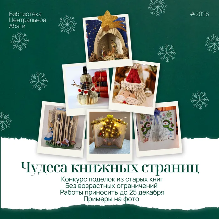 Библиотека Центральной Абаги (1)